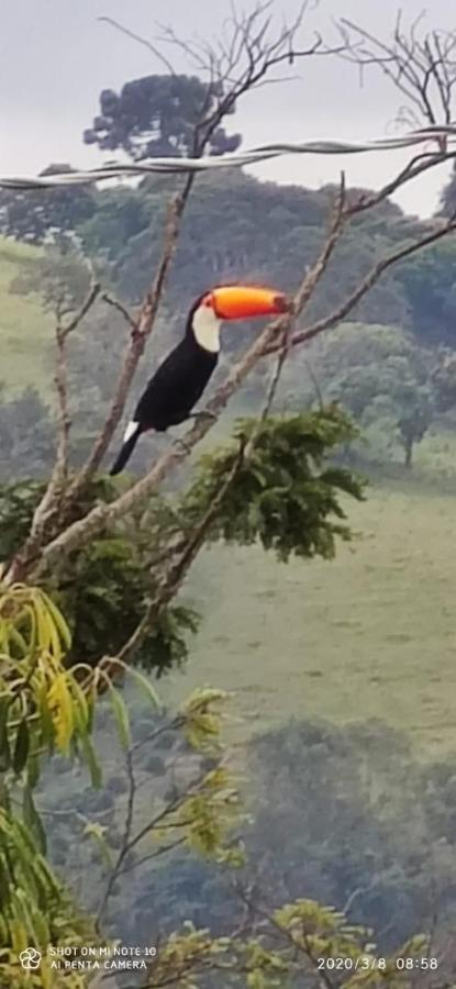 Alojamento de Turismo Selvagem Terras Altas Gonçalves
